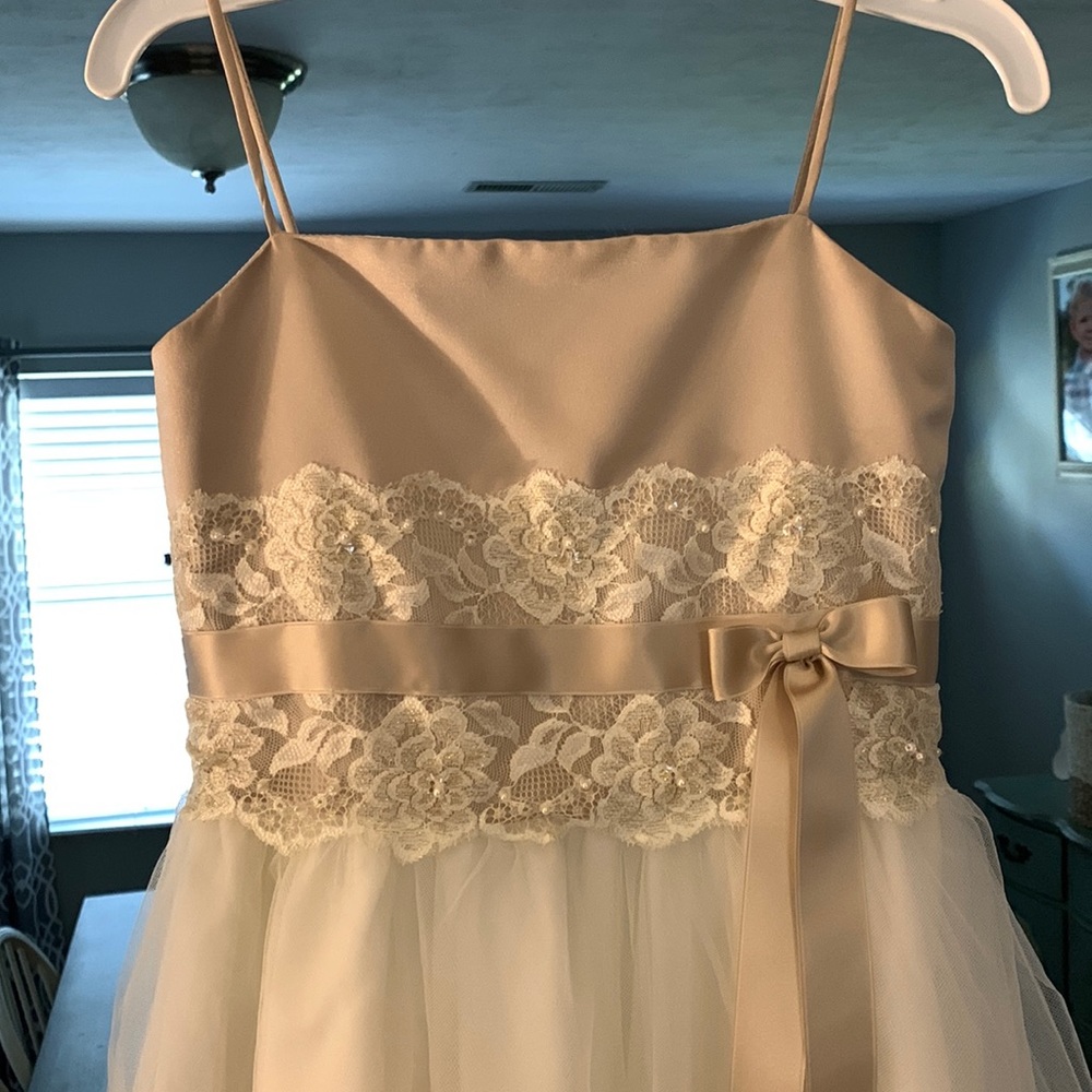 Davids Bridal Flower girl gown size 7